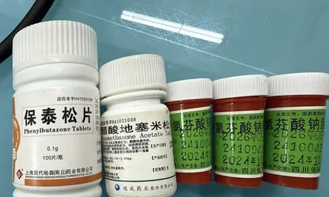 Suy thận, nguy kịch vì uống thuốc chứa Phenylbutazone trị đau khớp mua trên mạng