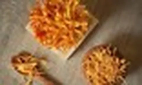 Đông trùng hạ thảo có tác dụng gì, ai nên sử dụng?