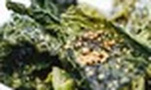 Đột quỵ cũng phải "sợ" loại rau này, chứa nhiều vitamin C hơn cả cam quýt: Nhiều gia đình Việt thích ăn mà không hề biết