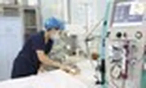 Bé trai 15 tháng tuổi nguy kịch sau khi bị ong vò vẽ đốt 60 nốt