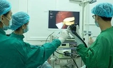 Bác sĩ Việt gắp 2 con giun đũa dài hơn 30cm chui vào đường mật bệnh nhi người Lào