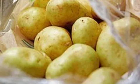 Vì sao không nên ăn khoai tây khi vỏ của chúng chuyển sang màu xanh?