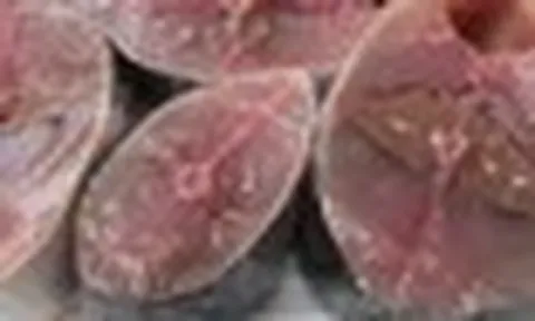 6 loại cá giàu omega-3 bậc nhất