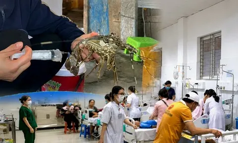 Phòng thực phẩm bẩn hay xây thêm bệnh viện? Kỳ 2: Bệnh viện gánh thêm áp lực vì ngộ độc thực phẩm