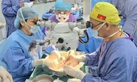 Lần đầu tiên ghép thành công dương vật từ người cho chết não