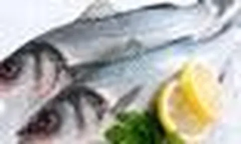 Chuyên gia cảnh báo 6 LOẠI CÁ có nguy cơ tích tụ kim loại nặng cao