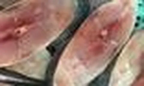 5 loại cá giá rẻ mà bổ ngang cá hồi, cứ ra chợ là thấy