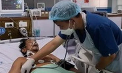 Cứu sống người đàn ông bị ong vò vẽ đốt 150 vết