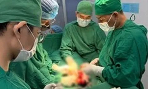 Kết quả những ca ghép dương vật trên thế giới ra sao?