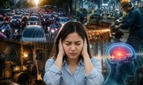 Làm việc trong môi trường nhiều tiếng ồn khiến não nhanh lão hóa