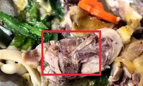 Phạt 27 triệu đồng cơ sở nấu ăn có giòi trong món gà