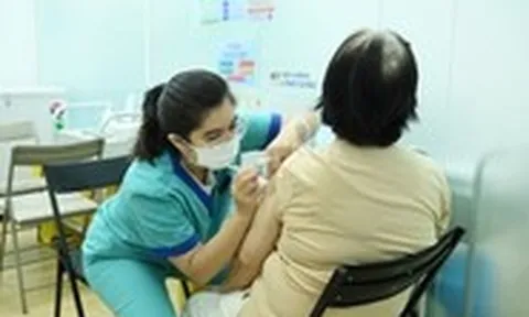 TP.HCM ghi nhận gần 1.000 ca sốt xuất huyết mới 1 tuần