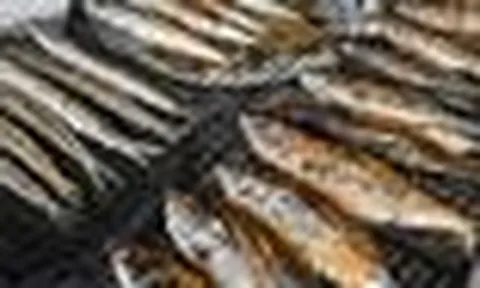Người bán cá nói thật: Khách thường tìm cá đắt, người trong nghề lại chọn 5 loại cá biển bình dân này
