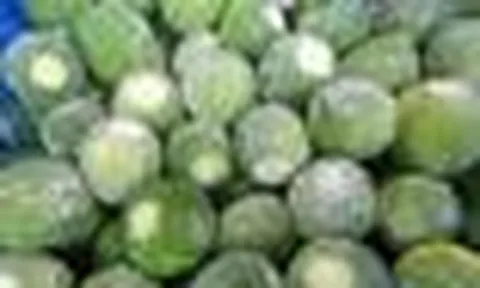 Nhiều người bỏ cả quả chanh vào ngăn đông tủ lạnh hoá ra vì những lợi ích này