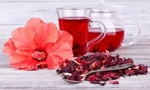 Uống trà dâm bụt - thức uống được nhắc nhiều nhờ bằng chứng khoa học ngày càng rõ ràng