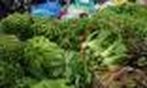 Người bán rau nói thật: Khách thường chọn bó xanh mướt, người trong nghề lại quan sát kỹ 3 đặc điểm này