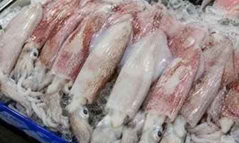 Mực có 5 dấu hiệu này: Cho không lấy, rẻ không mua