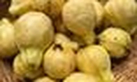 9 loại quả giàu omega-3 bậc nhất