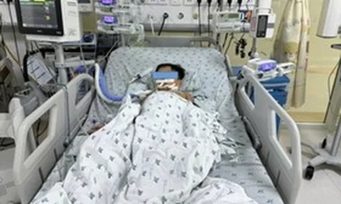 Ăn thịt chuột, ba chị em nguy kịch