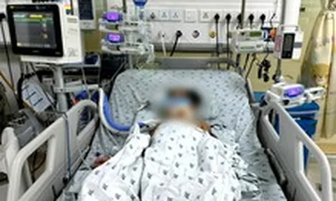 Ba chị em ngộ độc thuốc diệt chuột sau nhiều ngày ăn chuột đồng