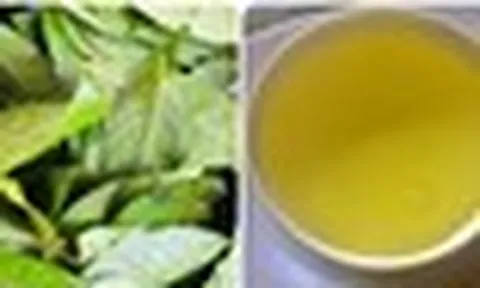 Điều gì sẽ xảy ra với cơ thể nếu bạn uống nước chè xanh mỗi ngày?