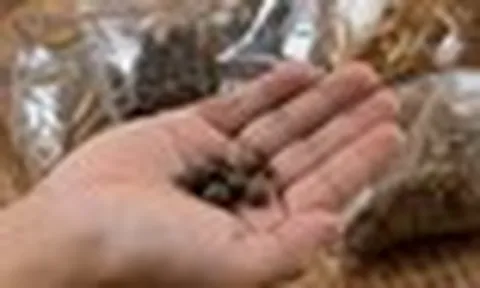 Thói quen dùng thuốc tưởng lành, “giảm đau thần tốc” nhưng lại khiến gan, thận chịu trận