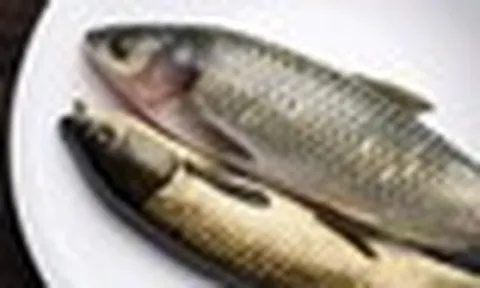 Ăn 1 bộ phận của cá, người phụ nữ suy thận cấp, suy gan: Bác sĩ cảnh báo “nấu chín vẫn nguy hiểm”