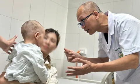 Bé trai 2 tuổi bị đa chấn thương do chó tấn công