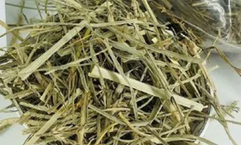Thứ cỏ mọc dại "nhổ đi không hết" lại là vị thuốc quý giúp thanh nhiệt, mát gan