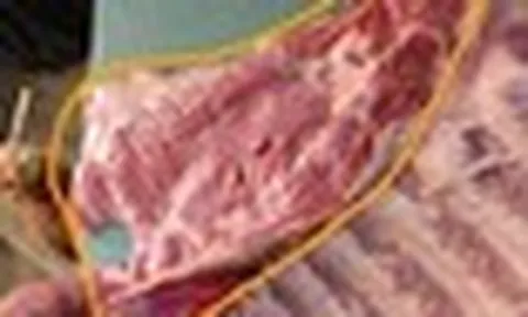 Lời thú nhận của chủ cửa hàng thịt 20 năm: 4 loại sườn heo CHO KHÔNG cũng đừng lấy!