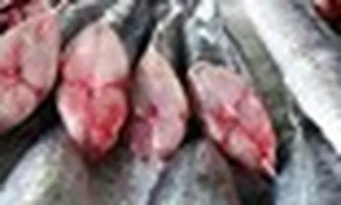 Lời khuyên cho những gia đình muốn tránh ăn cá "ngậm" nhiều thủy ngân