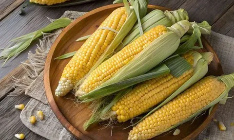 Phần bổ dưỡng của bắp ngô, nhiều người không biết lại bỏ đi