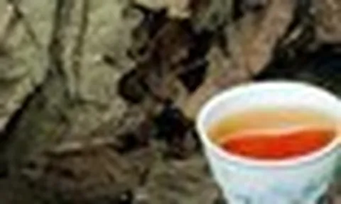 5 điều cần bỏ ngay khi uống lá đu đủ