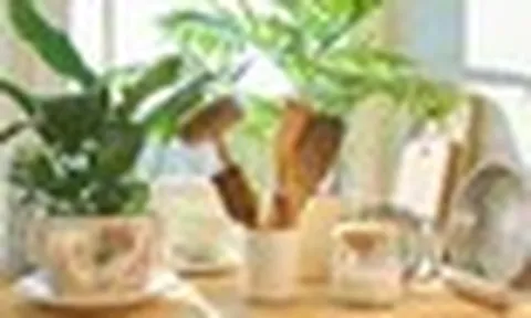 5 thứ trong nhà dễ gây bệnh bỏ ngay đừng tiếc