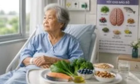 Những thực phẩm nên ăn để giảm nguy cơ bệnh Alzheimer
