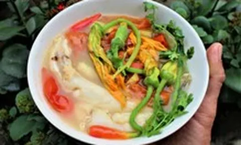 Cẩn trọng khi ăn bông bí, dưa chuột có vị đắng