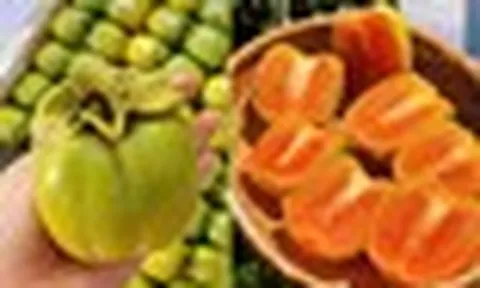 4 loại trái cây nhiều người mê nhưng dạ dày lại không “ưa”: Biết để ăn cho đúng