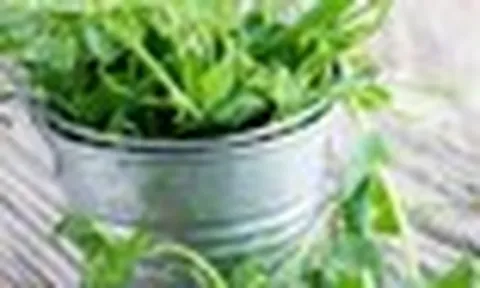7 loại rau nên trồng ngay trong tháng 9, có loại chỉ ít tuần đã bắt đầu được thu hoạch