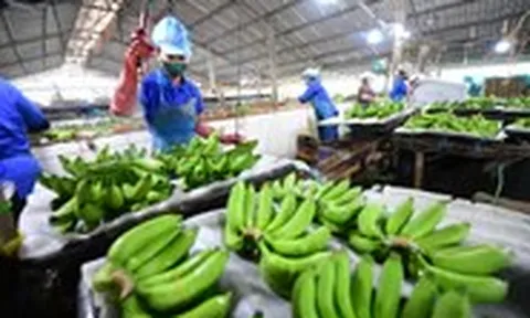 Những điều cần lưu ý để bảo vệ sức khỏe của thận