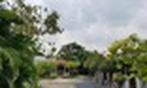 Việt Nam đã có "nhà dưỡng lão" nhận chăm sóc miễn phí hơn 200 người cao tuổi đến cuối đời: Khuôn viên viện rộng 1200m2, bao quanh nhiều hoa và cây xanh