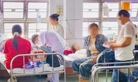 Xác định nguyên nhân gây ngộ độc do ăn bánh mì khiến 254 người ở Gia Lai nhập viện