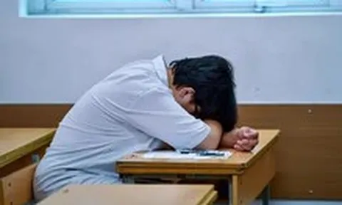 Từ phản ứng stress trầm trọng đến hành vi bạo lực, nguyên nhân do đâu?