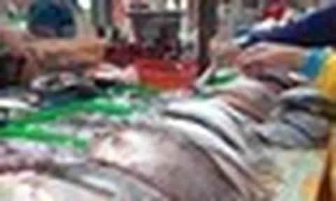 5 loại cá ra chợ thấy "ngon mắt", rẻ mấy cũng đừng mua!