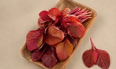 Rẻ bèo, loại rau giàu sắt ngang thịt bò, chợ Việt bán đầy: Rau gì mà bổ dưỡng đến vậy?
