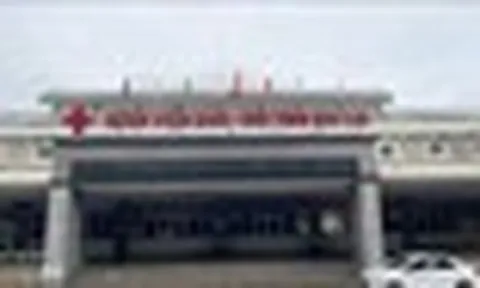 Gia Lai: Bé gái 4 tuổi tử vong vì bệnh dại sau thời gian thường xuyên ôm ấp, ngủ cùng mèo