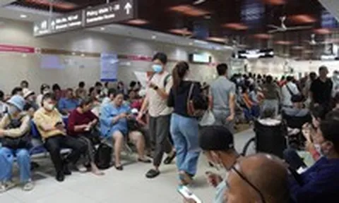 Cục trưởng Cục Quản lý khám, chữa bệnh: An toàn người bệnh phải như an toàn hàng không