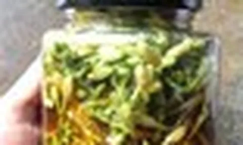 Lời khuyên dành cho tất cả những ai hay uống hoa đu đủ đực ngâm mật ong