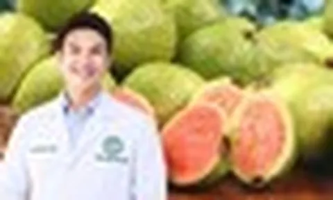 Bệnh nhân tiểu đường nên ăn ổi nhiều hơn? Bác sĩ Bệnh viện Bạch Mai trả lời