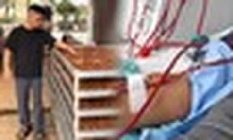 Chủ nhà hàng mới 24 tuổi đã suy thận giai đoạn cuối: Từng nghĩ do làm việc quá sức