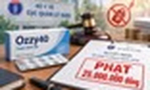 Kê khai sai giá thuốc, Công ty dược phẩm Đạt Vi Phú bị phạt 25 triệu đồng